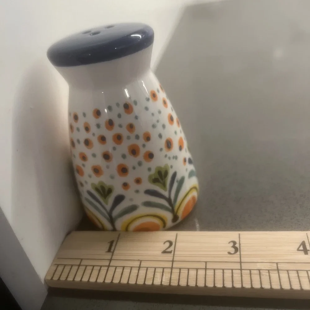 Retro Rainbow Salt Pepper Shakers Pottery Floral  MCM Vintage